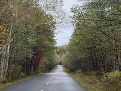 -汤旺河林海奇石景区