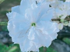 -the rug 飞毯 (朝阳公园店)