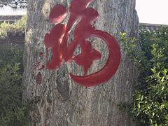 -白洋淀景区
