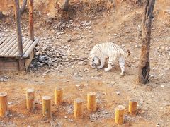 -石家庄市动物园