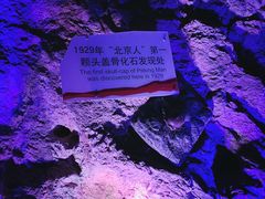 -周口店北京人遗址公园