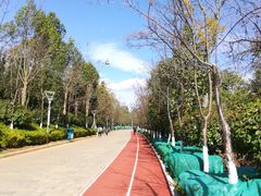 -洛龙公园