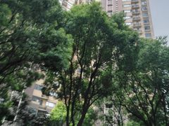 -停车场(凯德·都会新峰东南)