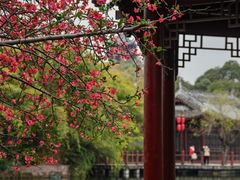 -棠湖公园