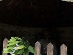 -天目山大树王景区
