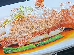 -顺峰(农展馆店)