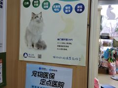 -米苏动物医院·犬猫专科·骨科外科内窥镜