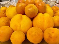 -伊隆斋(什刹海店)