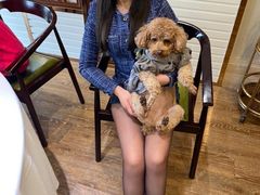 -香雪海饭店中餐厅(人民桥店)