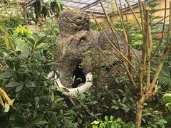-呀路古热带植物园