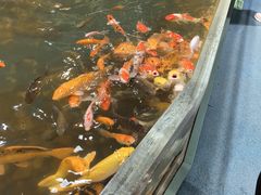 -上海大自然野生昆虫馆(东方明珠·爬宠昆虫探索中心)