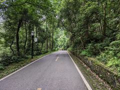 -潜山国家森林公园