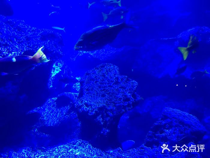 墨田水族馆图片