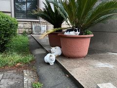 -大雁塔假日酒店·绿茵阁西餐厅