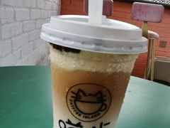 -喵屿·大理花园猫咖