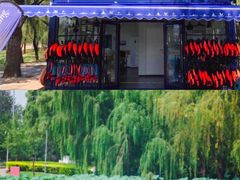 -WhaleSports户外水上运动俱乐部(朝阳公园店)