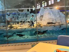 -帝企鹅自助餐厅•儿童岛•真企鹅(长隆企鹅酒店)