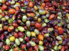 -五里多农博广场