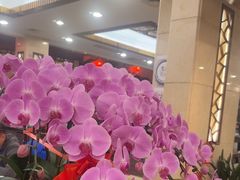 -顺峰·粤菜海鲜·早茶自助(阜成店)