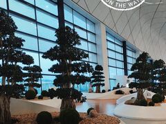 -郑州新郑国际机场