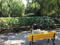 -四川大学(望江校区)