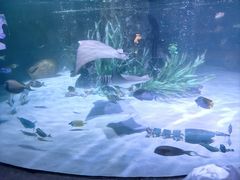 -沈阳海洋探索中心