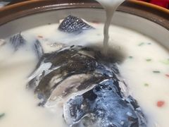 -全乐鱼馆·淳牌有机鱼直营店