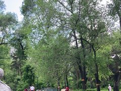 -黑龙江省森林植物园
