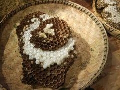 -昆虫窝子·特色云南菜(拓东路总店)