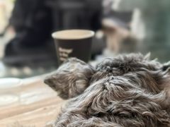 -BLATAGE COFFEE