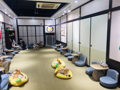 -逗柴咖啡屋·狗咖猫咖宠物桌游