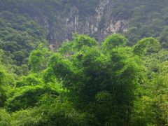 -神龙峡风景区