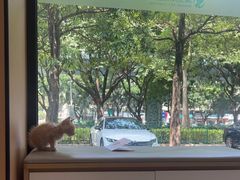 -瑞派康怡24h宠物医院·犬猫医疗中心·微创绝育(瑞景分院)