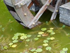 -山水间小院