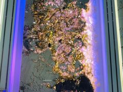 -红星美凯龙北京至尊MALL(东四环中路店)