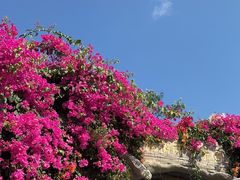 -三亚红色娘子军演艺公园景区