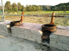 -荔枝红五号农庄