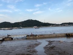 -天天渔港海鲜酒家(石浦玉泉路店)