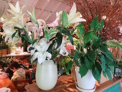 -春暖花开(西溪店)