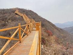 -水峪民俗村