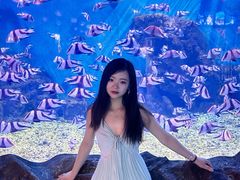 -蓬莱欧乐堡海洋极地世界
