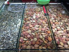 -石塘路海鲜市场(草厂中路店)