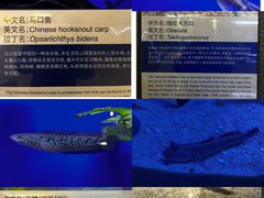 -上海海洋水族馆