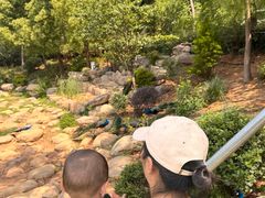 -无锡动物园·太湖欢乐园