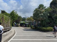 -圣淘沙天际线斜坡滑车