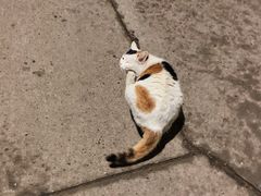 -长安大学(北校区)