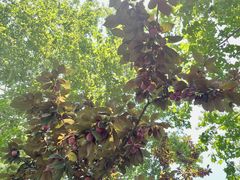 -春晖园度假酒店温泉