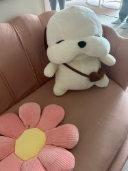 -奕美功能性体态调整·塑型·产后恢复(永利国际店)