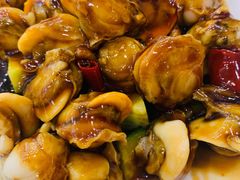 温拌全贝-奥华餐厅·老张记(台基厂店)