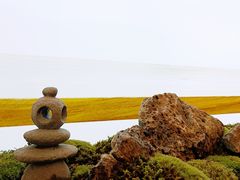 -上海静安洲际酒店